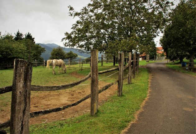 Het vredige Baskisch platteland