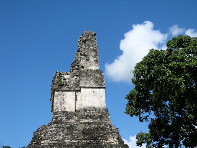 Tikal