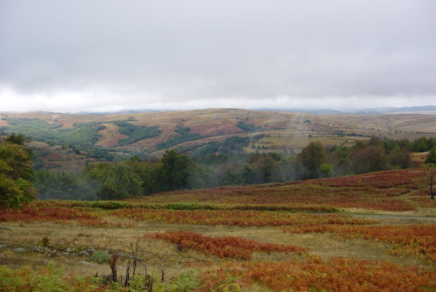 Natuur bij Kotel