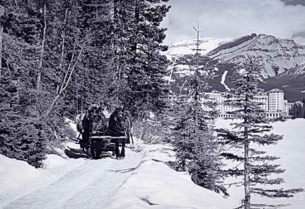 Met de arreslee langs Lake Louise