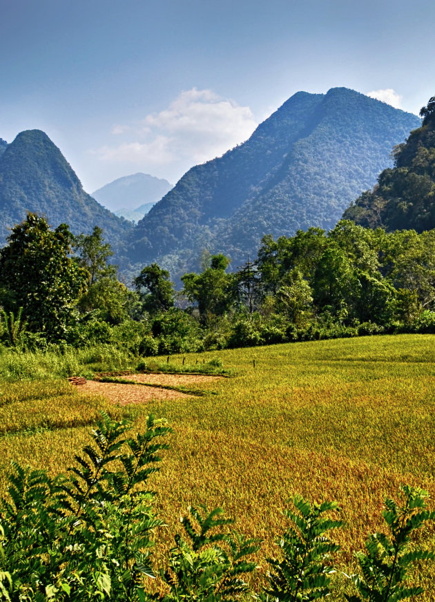 Muang Ngoy