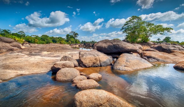 Rivier in de jungle