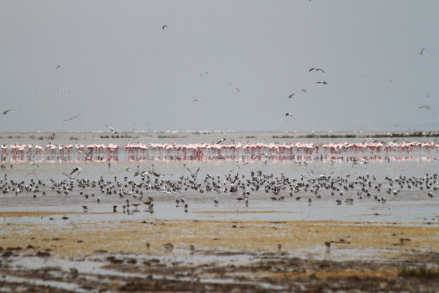 Lake Manyara