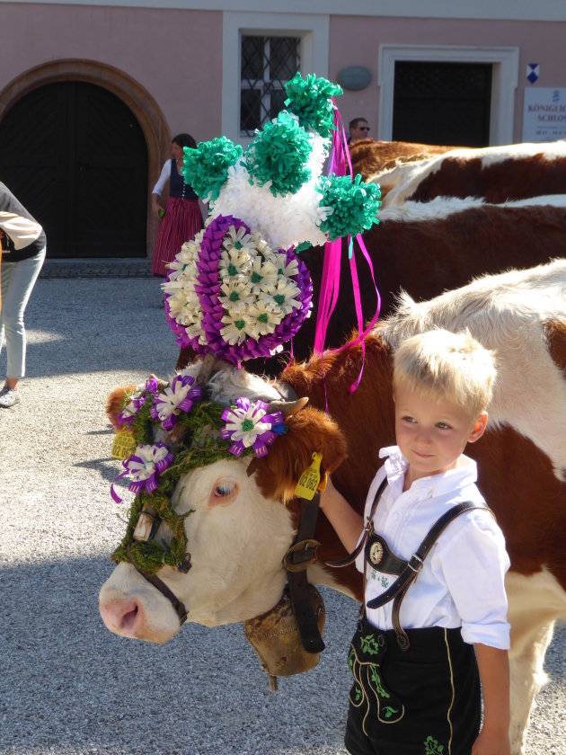 Almabtrieb in Berchtesgaden