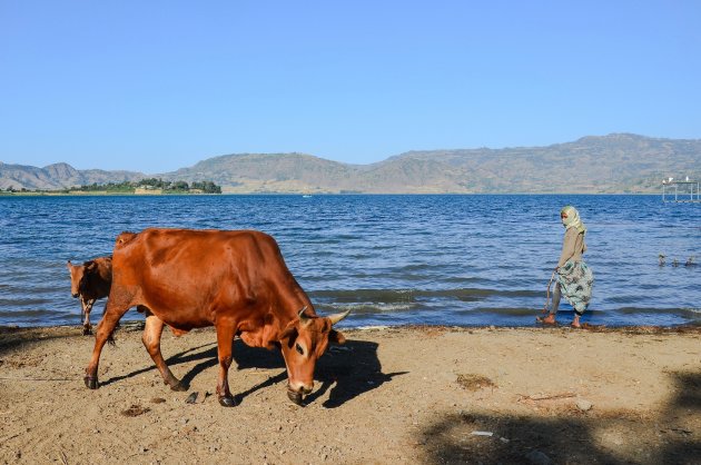 Badgasten bij Lake Hayk