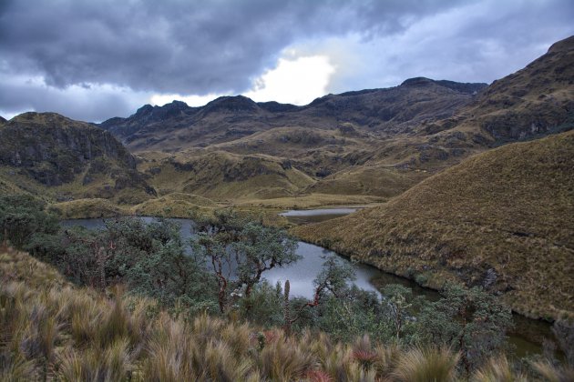 Donkere wolken boven El Cajas