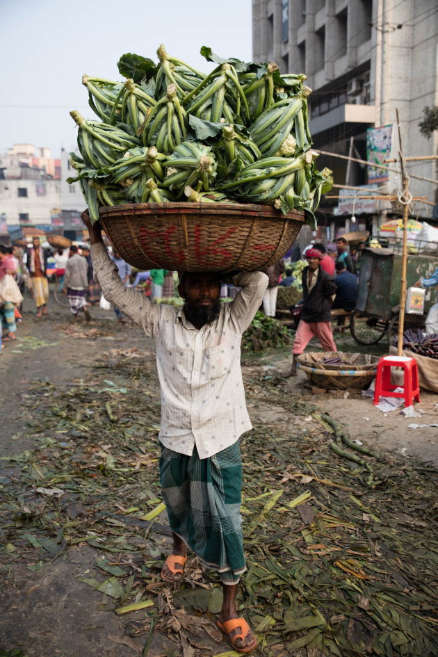 Light of Bangladesh XVII