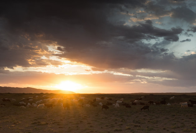 Veranderlijk weer in Gobi