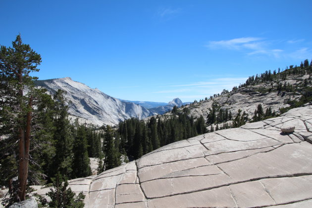 Yosemite National Park