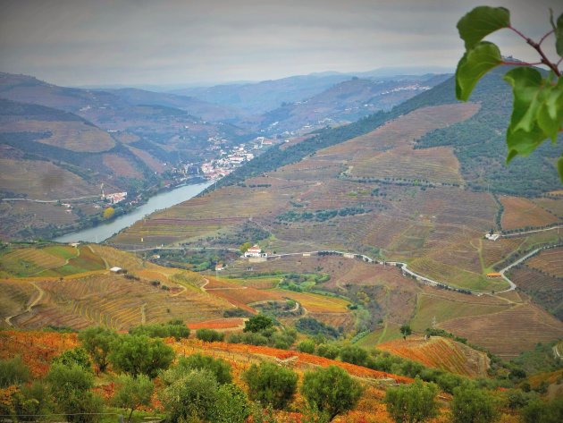 Douro Pinhao