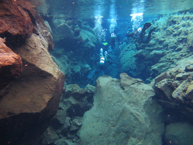 Snorkelen in IJsland!