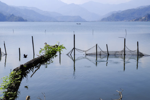 Pewa meer bij Pokhara