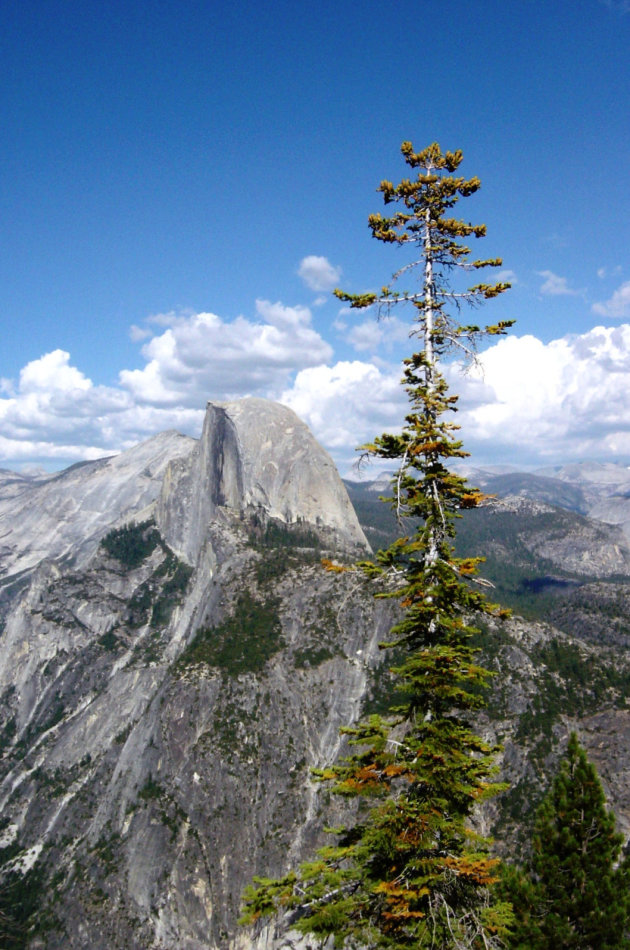 Half Dome in Yosemite