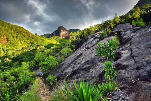 Morne NP