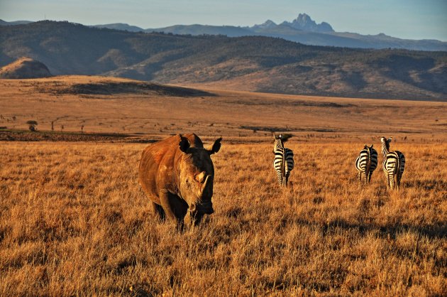  Mount Kenya N.P