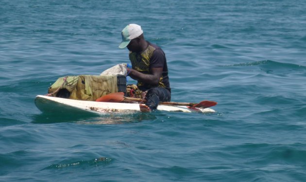 Vissen op een surfplank