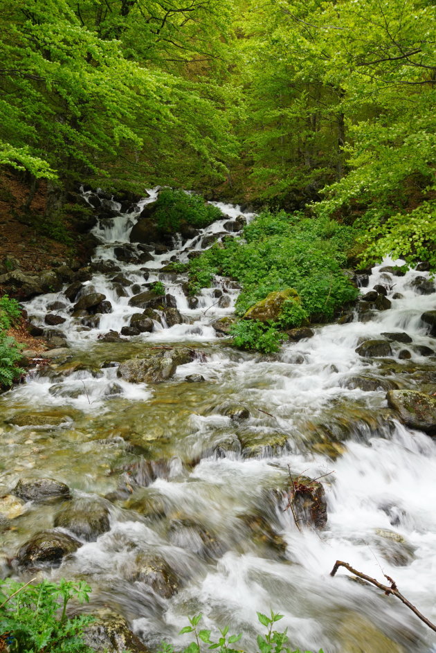 Mavrovo N.P.