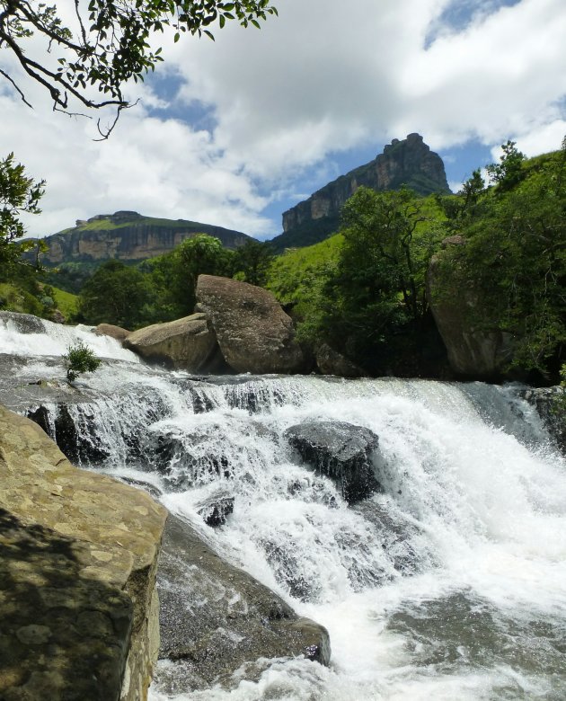 Cascades  en McKinley's pool