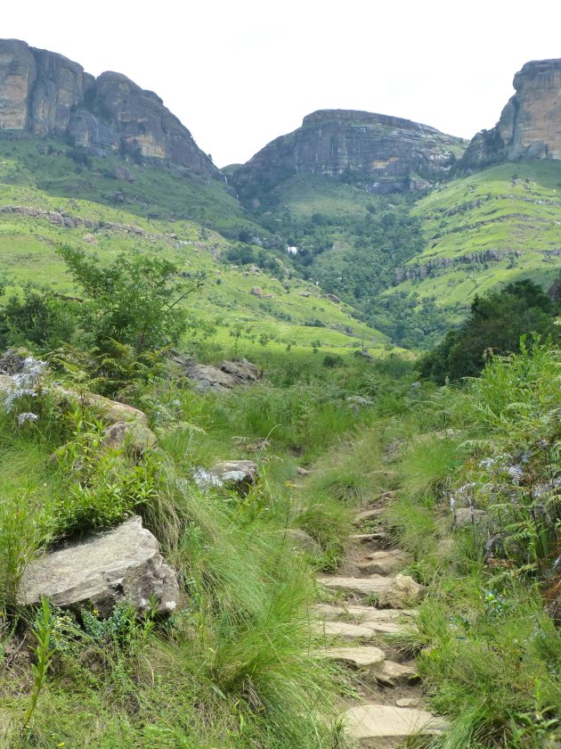 Wandelpad naar Cascades