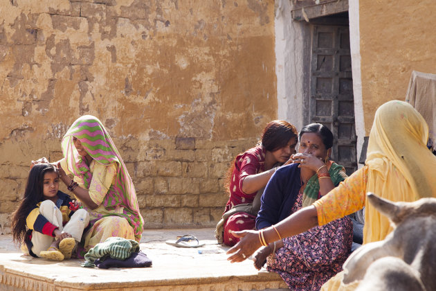 Onderzoek naar beestjes in Jaipur