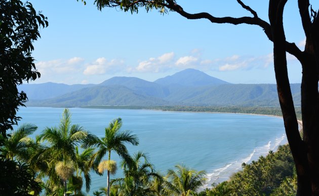 Daintree National Park