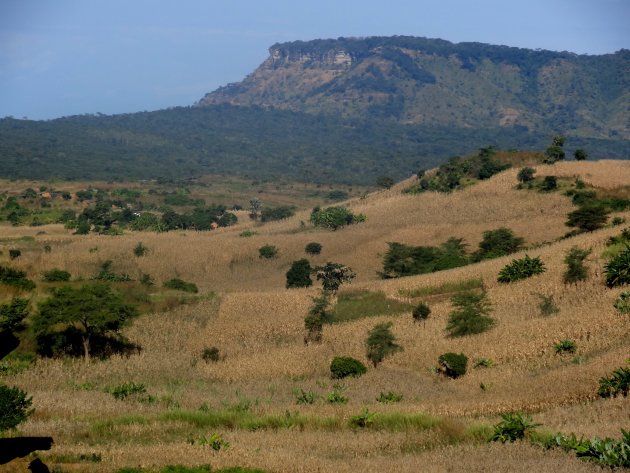 De Malawiaanse tafelberg