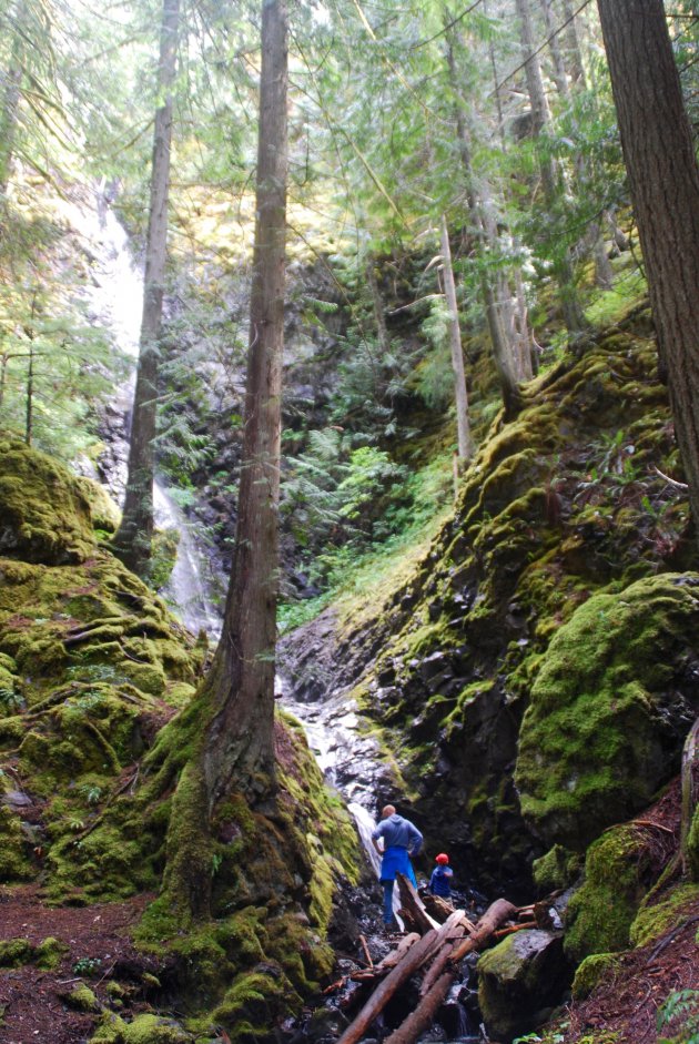 Verborgen waterval op Vancouver Island