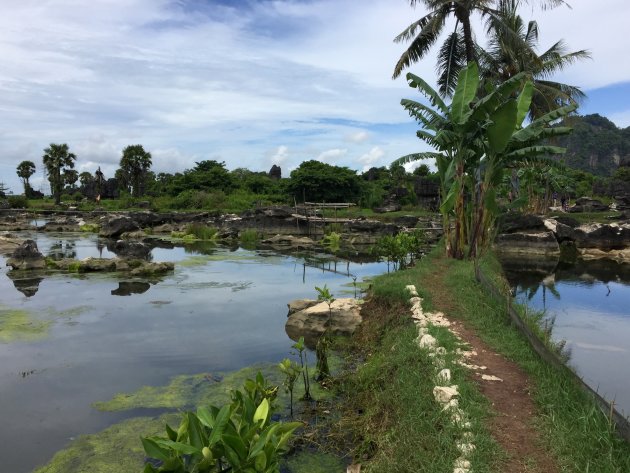 Indonesië, prima voor budgetreizen