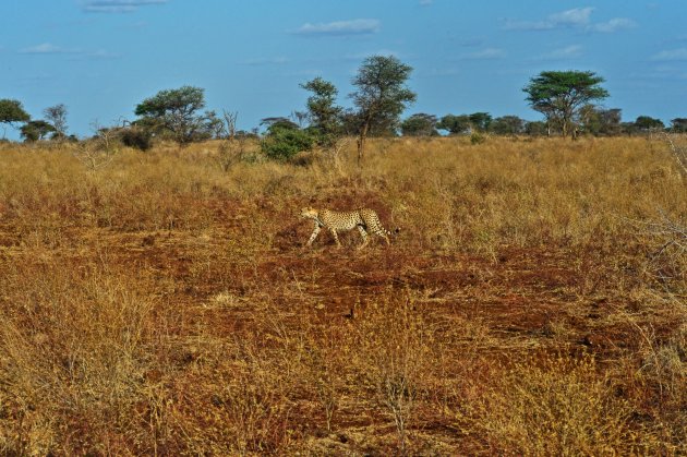 Lewa Landschap