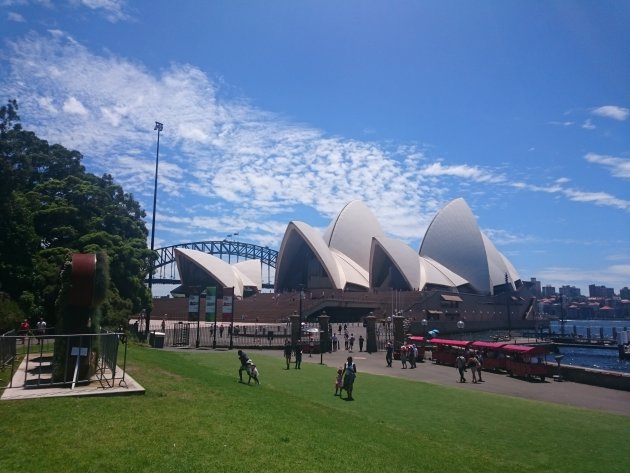 Sydney view