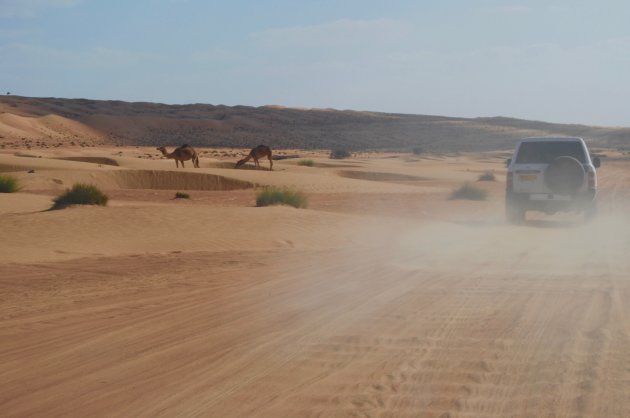 Met de 4x4 door Wahibi Sands