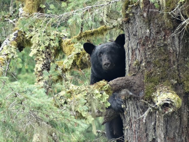 Vancouver Island is full of surprises