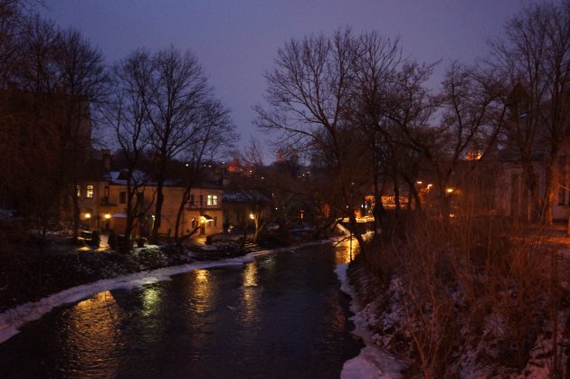 Uzepis in de sneeuw