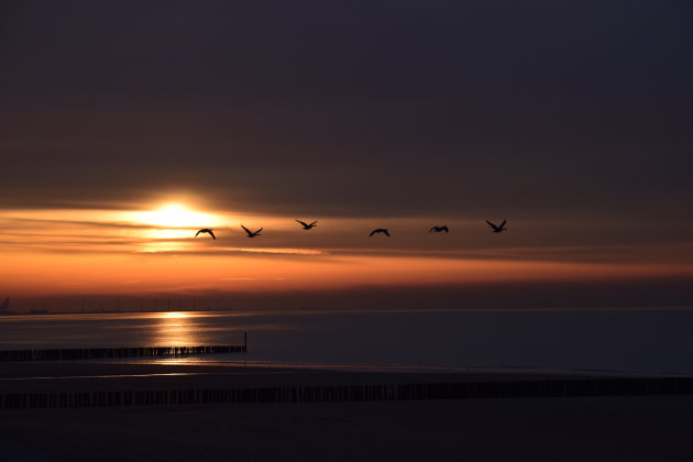 Zonsondergang bij Cadzand, de Zeeuwse kust