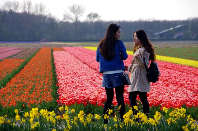 Toerist in eigen land