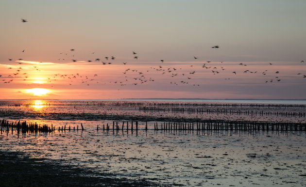 Zonsondergang bij de Waddenkust