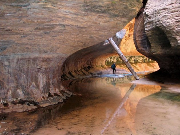 The Subway - Left Fork of North Creek, Topdown