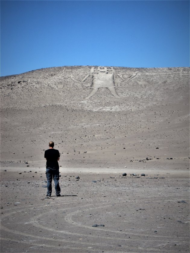 Gigante de Atacama