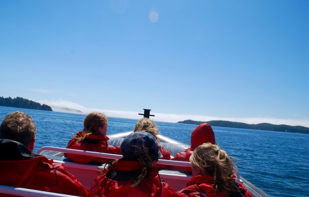 Op Whale Watch Tour