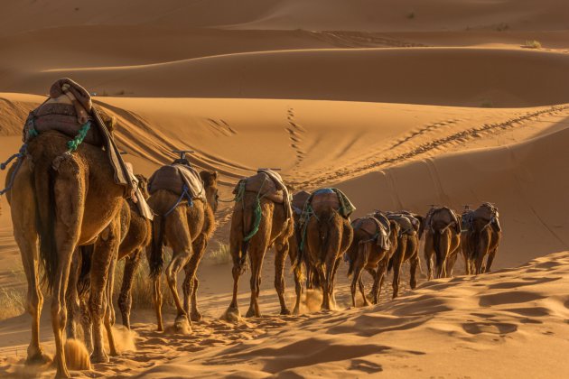 Welke kant gaan wij op, splitsing van wegen, Erg Chebbi