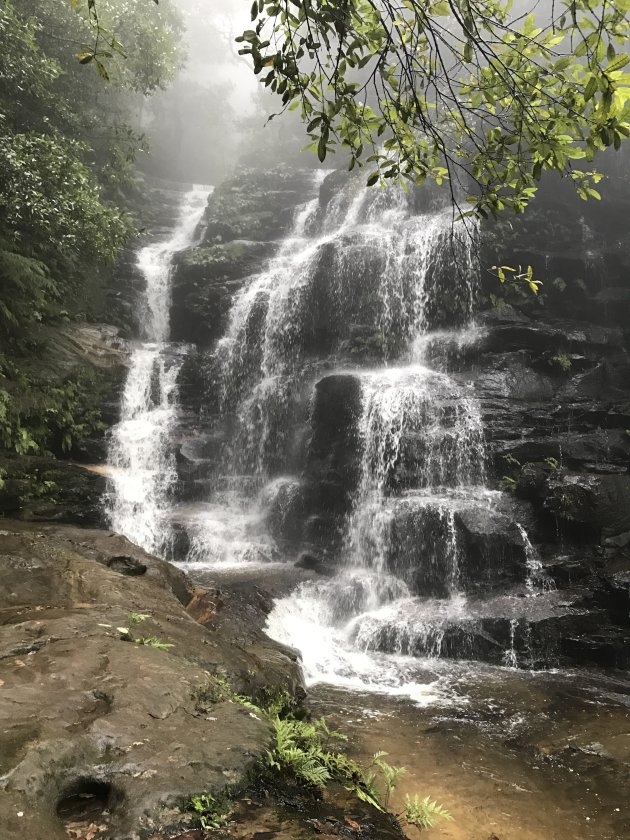 Watervallen spotten in de Blue Mountains, 1,5 uur van Sydney