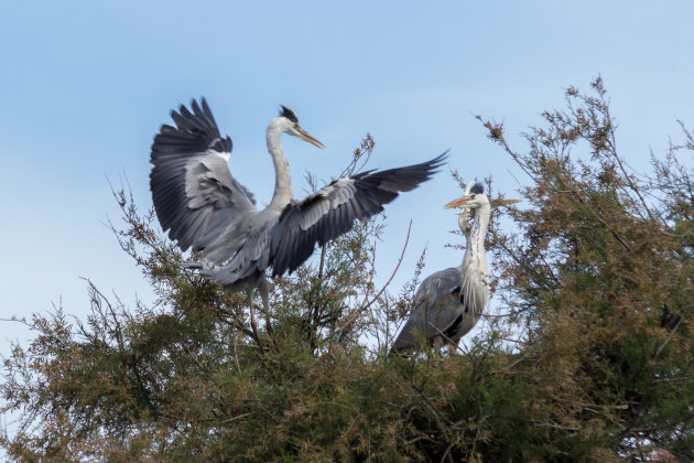 Veilige landing