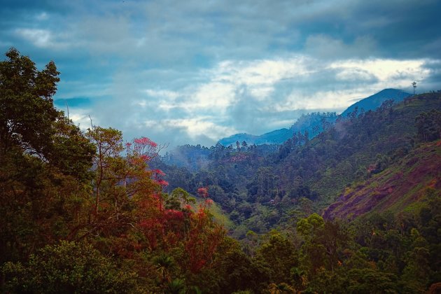 Sri Lanka regenseizoen