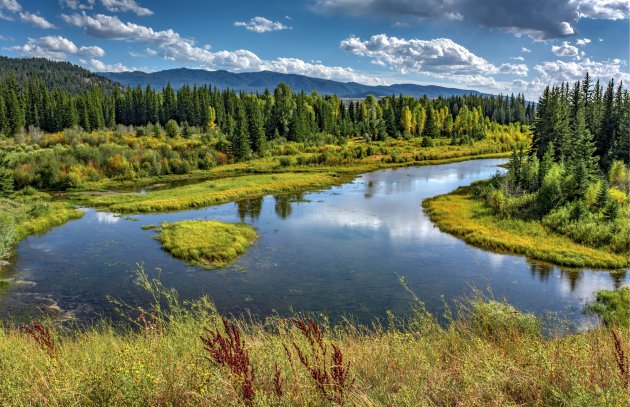 Gewoon zomaar een uitzicht in Grand Teton NP