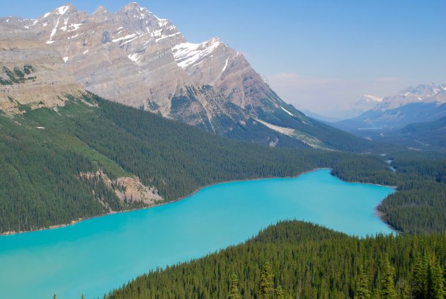 Mooi Peyto Lake