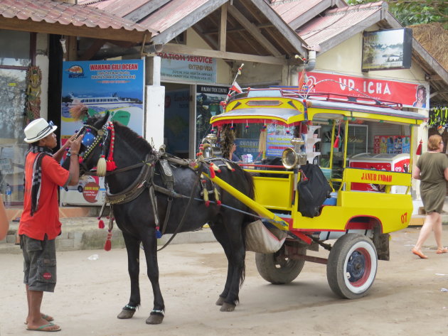 Ponytaxi op de Gili eilanden