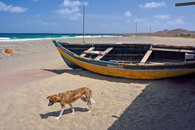 Bijna het strand voor je alleen