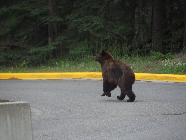 Beste moment in Canada.