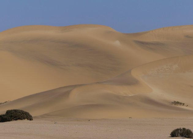 De kleuren van de duinen