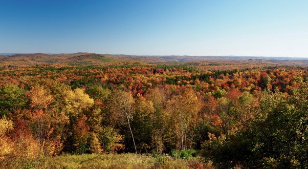 DE herfstkleuren van New England